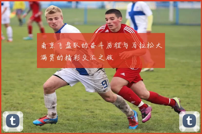南京飞盘队的奋斗历程与马拉松大满贯的精彩交汇之旅