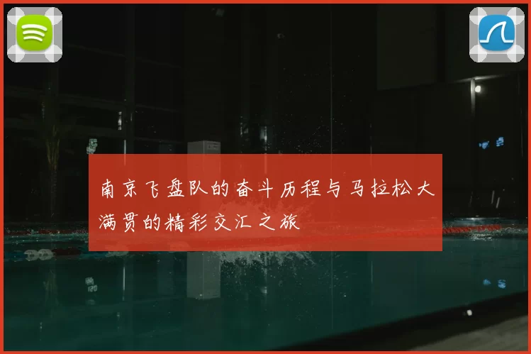 南京飞盘队的奋斗历程与马拉松大满贯的精彩交汇之旅