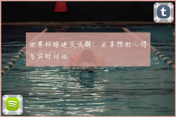 世界杯球迷交流群：分享预测心得与实时讨论