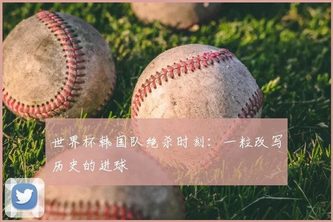 世界杯韩国队绝杀时刻：一粒改写历史的进球
