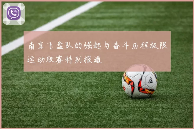 南京飞盘队的崛起与奋斗历程极限运动联赛特别报道