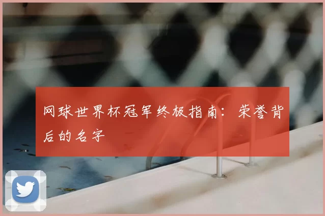 网球世界杯冠军终极指南：荣誉背后的名字