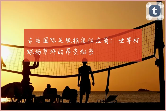 专访国际足联指定供应商：世界杯球场草坪的昂贵秘密
