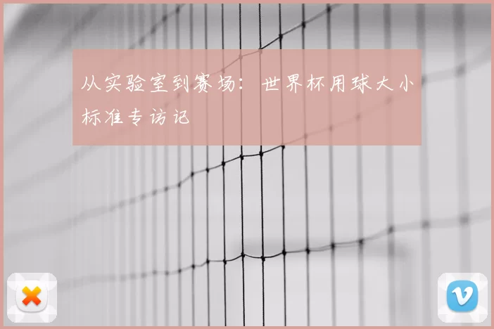 从实验室到赛场：世界杯用球大小标准专访记