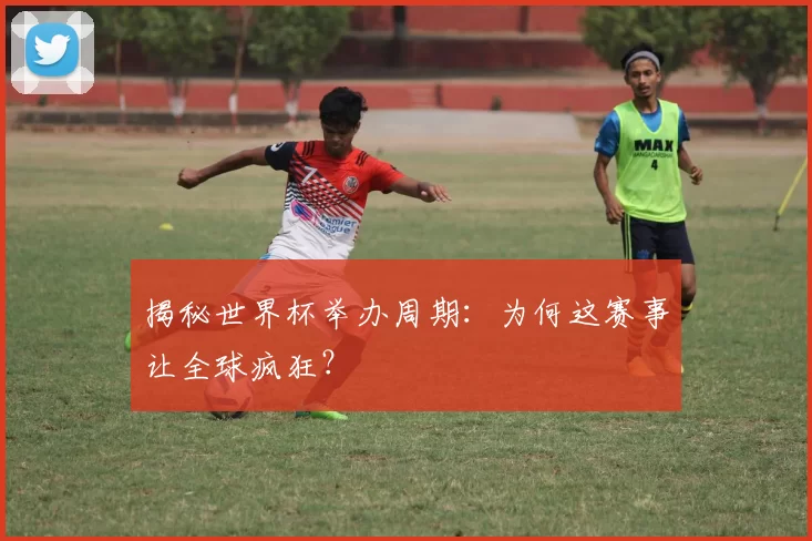 揭秘世界杯举办周期:为何这赛事让全球疯狂?