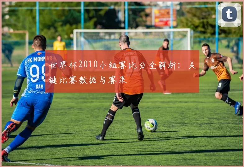 世界杯2010小组赛比分全解析：关键比赛数据与赛果