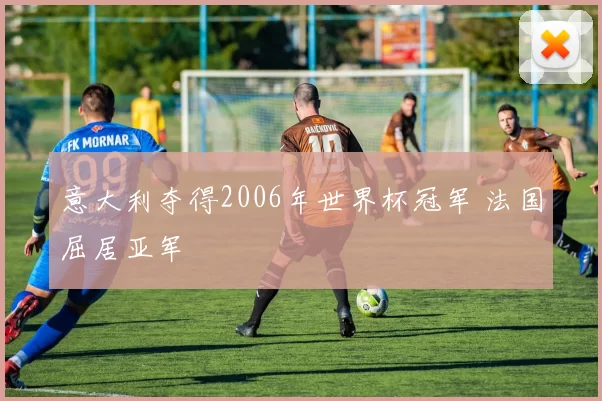 意大利夺得2006年世界杯冠军 法国屈居亚军