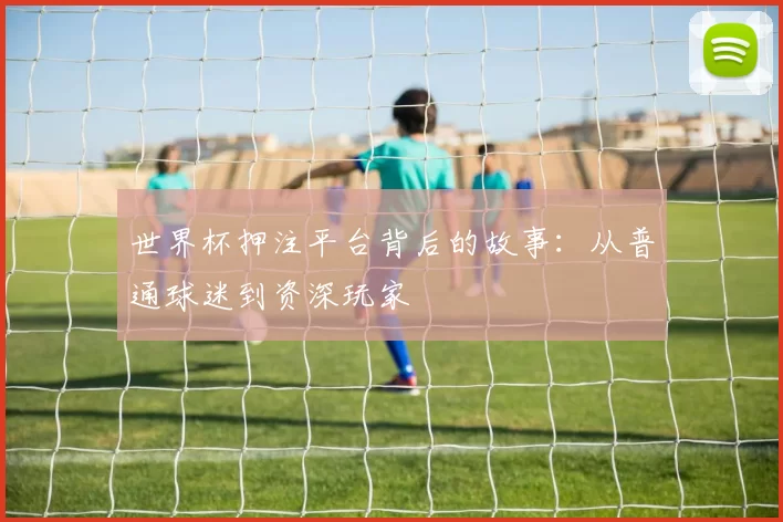 世界杯押注平台背后的故事:从普通球迷到资深玩家