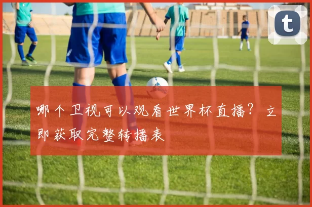 哪个卫视可以观看世界杯直播？立即获取完整转播表