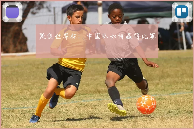 聚焦世界杯：中国队如何赢得比赛