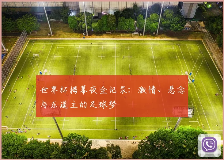 世界杯揭幕夜全记录：激情、悬念与东道主的足球梦